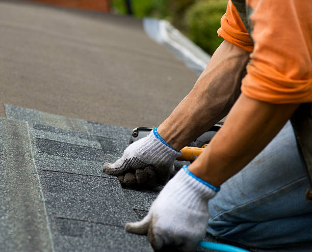 Best Roof Repair Services  in San Rafael, CA