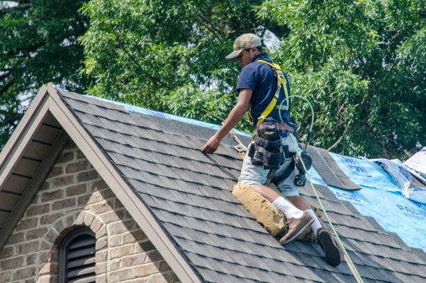 Roof Repair Estimates in San Rafael, CA